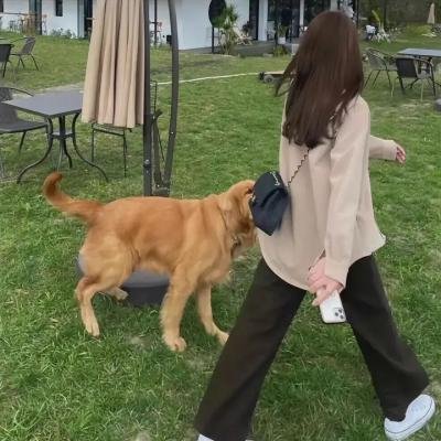 战争狂人